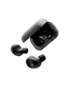 ADV. Model Y Black Earphone Headphone Japanese version