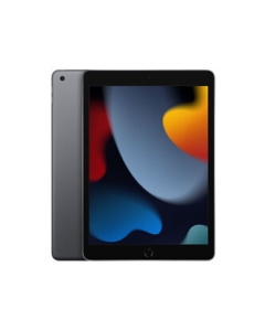 Apple iPad 10.2 inch 9th gen Wi-Fi+Cellular 256GB Fall 2021 Model au Space Gray Tablet Japanese version