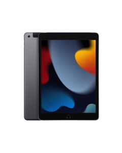 Apple iPad 10.2 inch 9th gen Wi-Fi+Cellular 256GB Fall 2021 Model MK4E3J/A SIM-Free Space Gray Tablet Japanese version