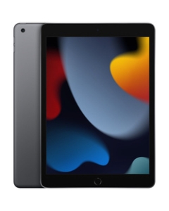 Apple iPad 10.2 inches 9th Generation Wi-Fi 256GB Fall 2021 Model MK2N3J/A Space Gray Tablet Japanese version