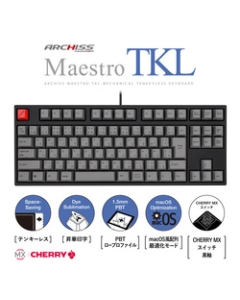 ARCHISS Maestro TKL AS-KBM91/LGBA black axis black/gray Keyboard Japanese version