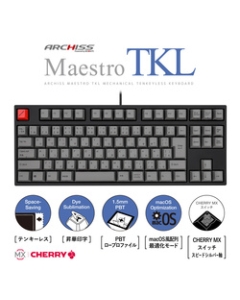 ARCHISS Maestro TKL AS-KBM91/LSGBA speed silver axis black/gray Keyboard Japanese version