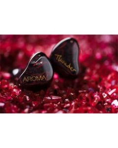 AROMA Thunder Earphone Headphone Japanese version