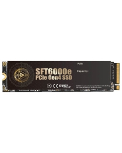 CFD SFT6000e CSSD-M2L5HSFT6KE  SSD Japanese version