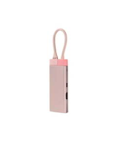 EGRET EH23-5C-P Metallic Pink USB Hub Japanese version