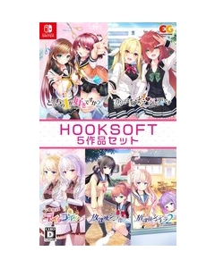 Entergram HOOKSOFT 5 work set Nintendo Switch Japanese version