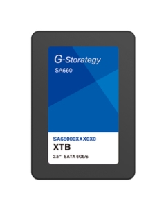 FFF SMART LIFE CONNECTED G-Storategy SA660 SA66001TBY4G1  SSD Japanese version