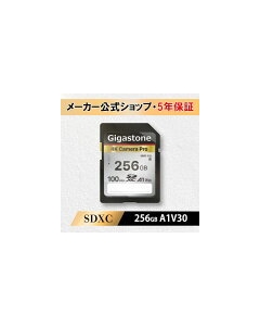 Gigastone GJSXR4K-256GV3A1 256GB Card Japanese version