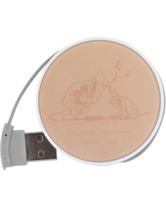 gourmandise DN-998MK Mickey & Pluto USB Hub Japanese version