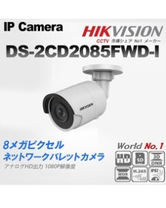 HIKVISION DS-2CD2085FWD-I Video Surveillance Camera Japanese version