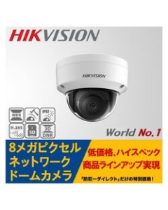 HIKVISION DS-2CD2185FWD-I Video Surveillance Camera Japanese version