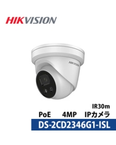 HIKVISION DS-2CD2346G1-I/SL Video Surveillance Camera Japanese version