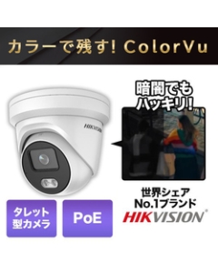 HIKVISION DS-2CD2347G3E-L Video Surveillance Camera Japanese version