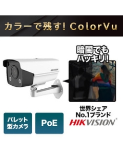 HIKVISION DS-2CD2T47G3E-L Video Surveillance Camera Japanese version