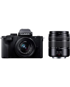 Panasonic LUMIX DC-G100DW double zoom lens kit Mirrorless Camera Japanese version