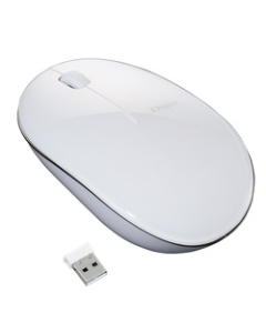 NAKABAYASHI Digio2 MUS-RKT153NW white Mouse Japanese version