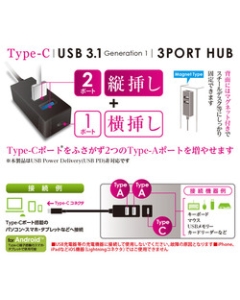 Nakabayashi Digio2 UH-C3133BK Black USB Hub Japanese version