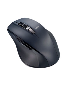 Nakabayashi Digio2 Ultra-fast series MUS-BKF165NBK N Black Mouse Japanese version