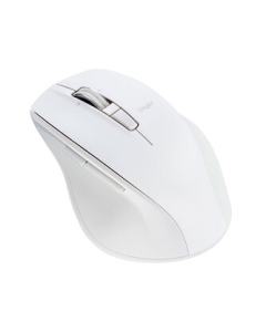 Nakabayashi Digio2 Ultra-fast series MUS-BKF165NW N White Mouse Japanese version