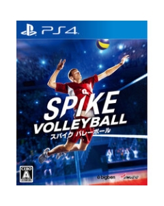 Oizumi Amusio Spike Volleyball PS4 Japanese version