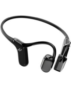 Preseed Japan AVIOT Openpiece Elite WB-E1-BK metallic black Earphone Headphone Japanese version