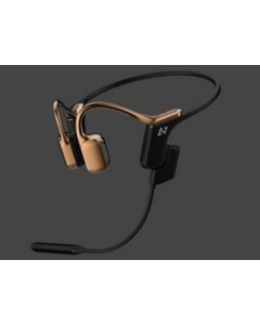 Preseed Japan AVIOT Openpiece Elite WB-E1M-GL bronze gold Earphone Headphone Japanese version