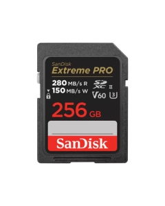 SANDISK SDSDXEP-256G-JNJIP 256GB SD Card Japanese version