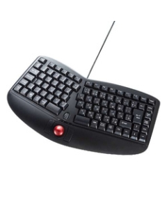 Sanwa Supply SKB-ERG5BK black Keyboard Japanese version