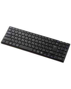 Sanwa Supply SKB-WL22BKN Black Keyboard Japanese version