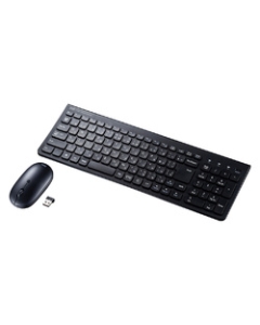 Sanwa Supply SKB-WL31SETBK Black Keyboard Japanese version