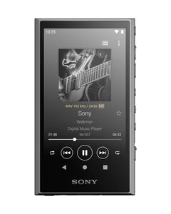 SONY NW-A306 (H) 32GB gray DAP Japanese version