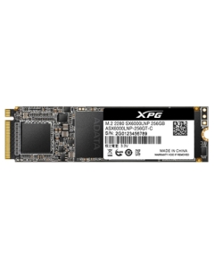 ADATA XPG SX6000 Lite ASX6000LNP-256GT-C SSD Japanese version