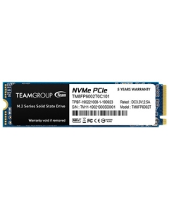 Team MP33 TM8FP6002T0C101 SSD Japanese version