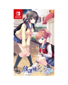 Entergram After school Cinderella Normal version Nintendo Switch Japanese version