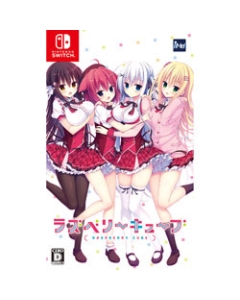 iMel Raspberry Cube Normal Edition Nintendo Switch Japanese version