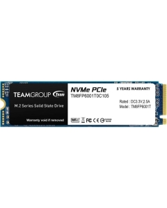 Team MP33 TM8FP6001T0C101  SSD Japanese version