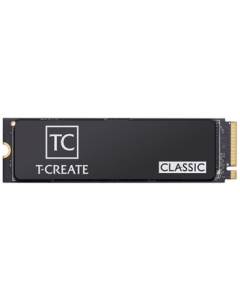 Team T-CREATE CLASSIC TM8FPM001T0C329  SSD Japanese version