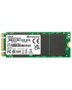 Transcend TS256GMTS600S  SSD Japanese version