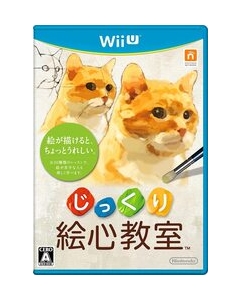 Nintendo carefully art class Wii U Japanese version