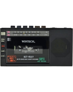 WINTECH SCT-R227K black Boombox Japanese version