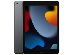 Apple iPad 10.2 inches 9th Generation Wi-Fi+Cellular 256GB Fall 2021 Model au Space Gray