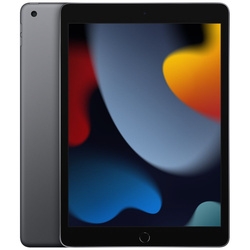 Apple iPad 10.2 inches 9th Generation Wi-Fi 256GB Fall 2021 Model MK2N3J/A Space Gray