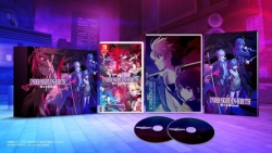 Arc System Works UNDER NIGHT IN-BIRTH II Sys: Celes Limited Box Limited Edition Switch Small