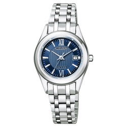 CITIZEN Exceed Eco-Drive FE1001-58L Watch Small