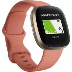 Fitbit Fitbit VERSA 3 FB511GLPK-FRCJK Pink Clay/Soft GoldSmart Watch Small