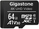 Gigastone GJMX-64GV3A1 64GB Card Small