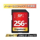 Gigastone GJSXR-256GU1-RED 256GB Card Small