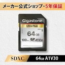 Gigastone GJSXR-64GV3A1 64GB Card Small