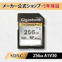 Gigastone GJSXR4K-256GV3A1 256GB Card Small