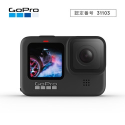 Video Camera GoPro HERO9 BLACK CHDHX-901-FW Small